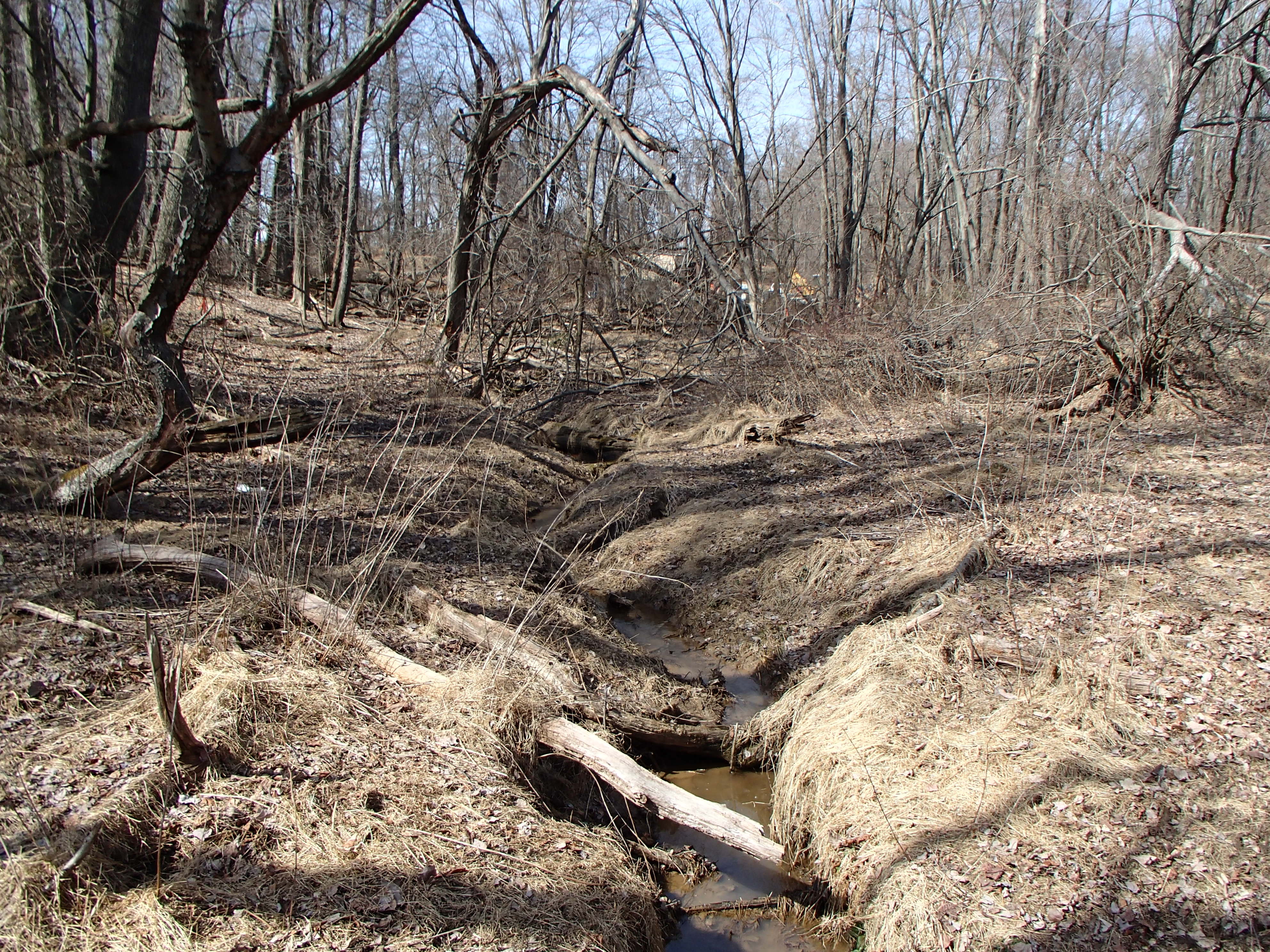 Field photo showing stream conditions at site MPAX-104-R-2016_Midpoint looking upstream